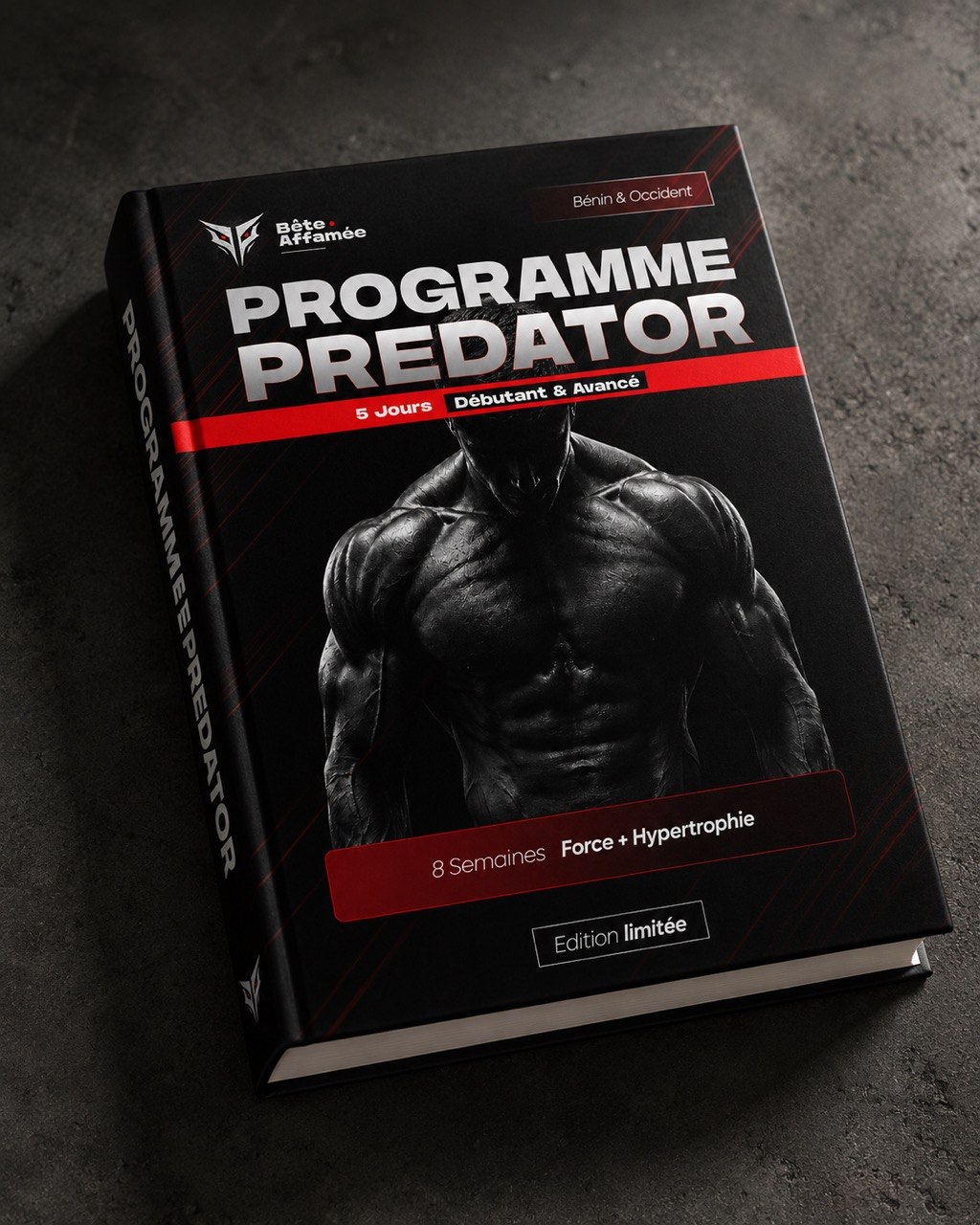 Programme Entraînement PDF
